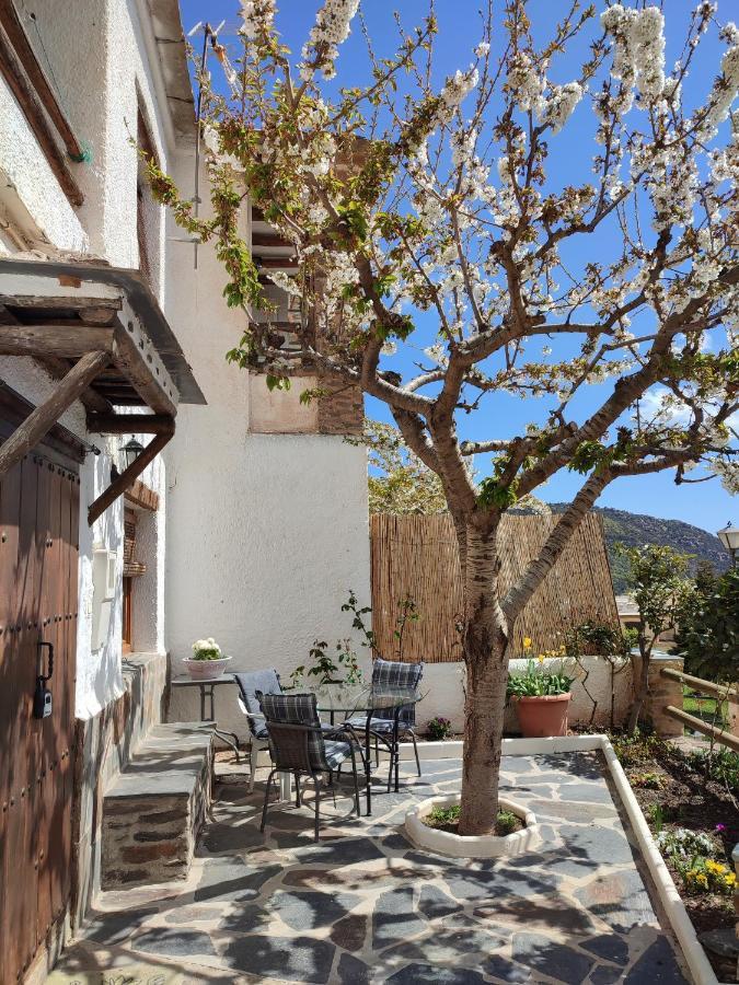 Casa Alpujarrena Fina Numero 27 Bubion Bagian luar foto
