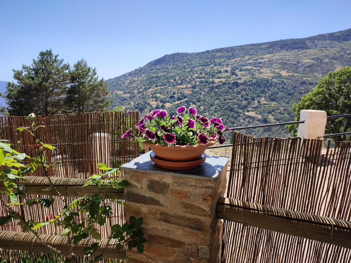 Casa Alpujarrena Fina Numero 27 Bubion Bagian luar foto